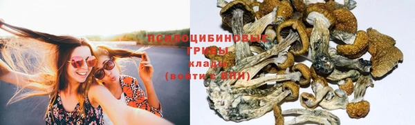 гашик Арсеньев