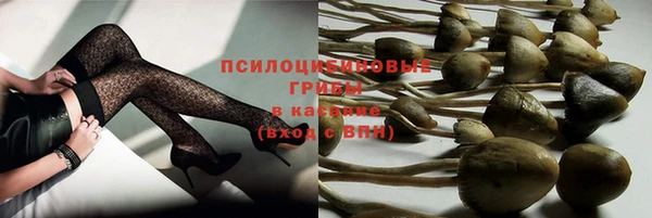 дурь Аркадак