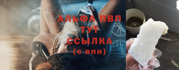 гашик Арсеньев