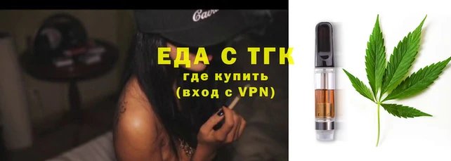 гашик Арсеньев