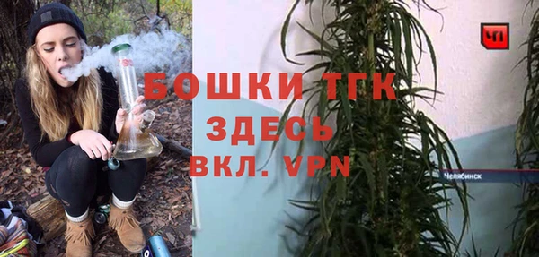 гашик Арсеньев