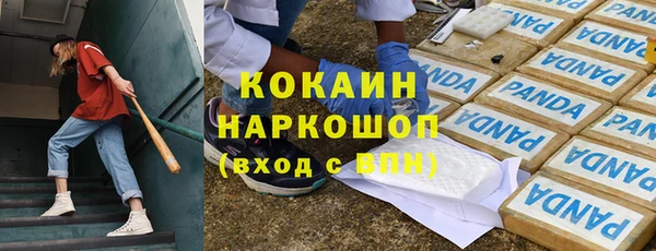 гашик Арсеньев