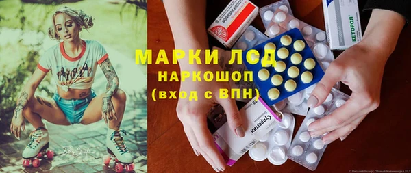 индика Балабаново