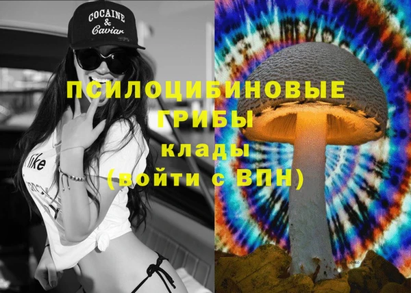 дурь Аркадак