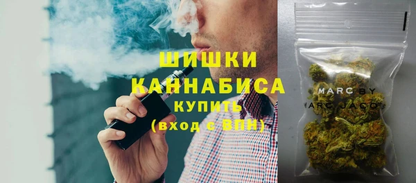 гашик Арсеньев