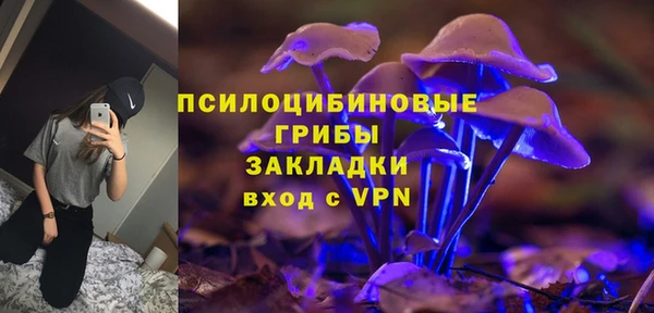 героин Алексин