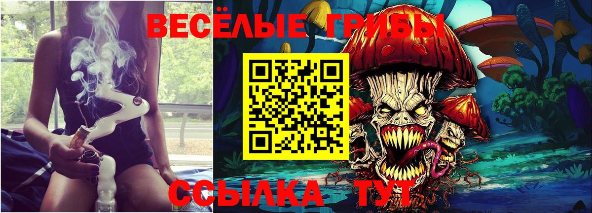 Учалы  Галлюциногенные грибы GOLDEN TEACHER  Вход с VPN  цена   Галлюциногенные грибы GOLDEN TEACHER 