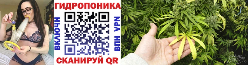 Конопля планчик  Учалы 